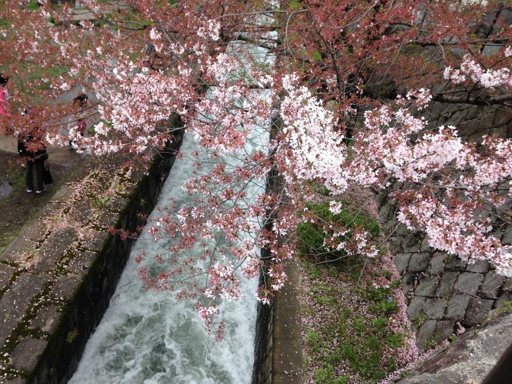 Yunokian Villa Kyoto Eksteriør billede