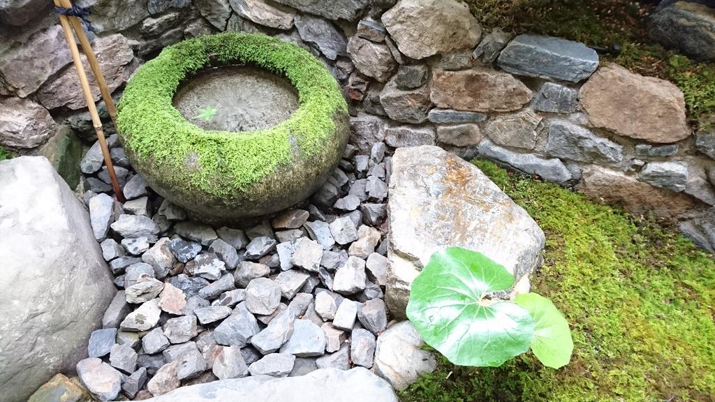 Yunokian Villa Kyoto Eksteriør billede